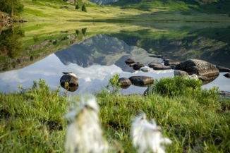Mountain landscape reflected in a calm lake